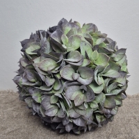 Kunst hortensia bol m