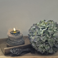 Kunst hortensia bol m
