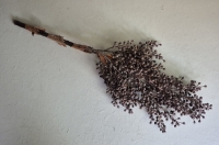 Kunst dadeltak mauve