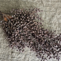 Kunst dadeltak mauve