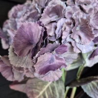 Kunst hortensia tak