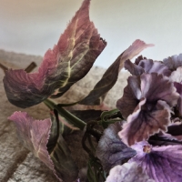 Kunst hortensia tak