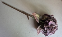 Kunst hortensia tak