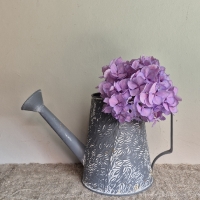 Decoratie zinken gieter