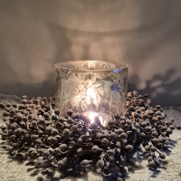 Windlicht glas armeluiszilver