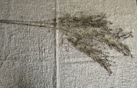 Decoratieve kunsttak
